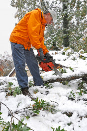 Chain Saw Debris and Storm Clean Up
