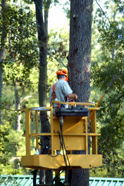 Bucket Truck Safety - Requires hands on participation