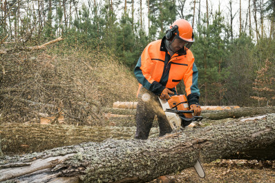 Chain Saw Safety