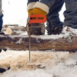 Chain Saw Felling