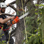 Emergency Readiness and High Angle Rescue 