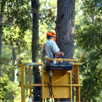 Bucket Truck Safety - Requires hands on participation