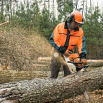 Chain Saw Safety